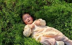 性一交一乱一美A片欧美